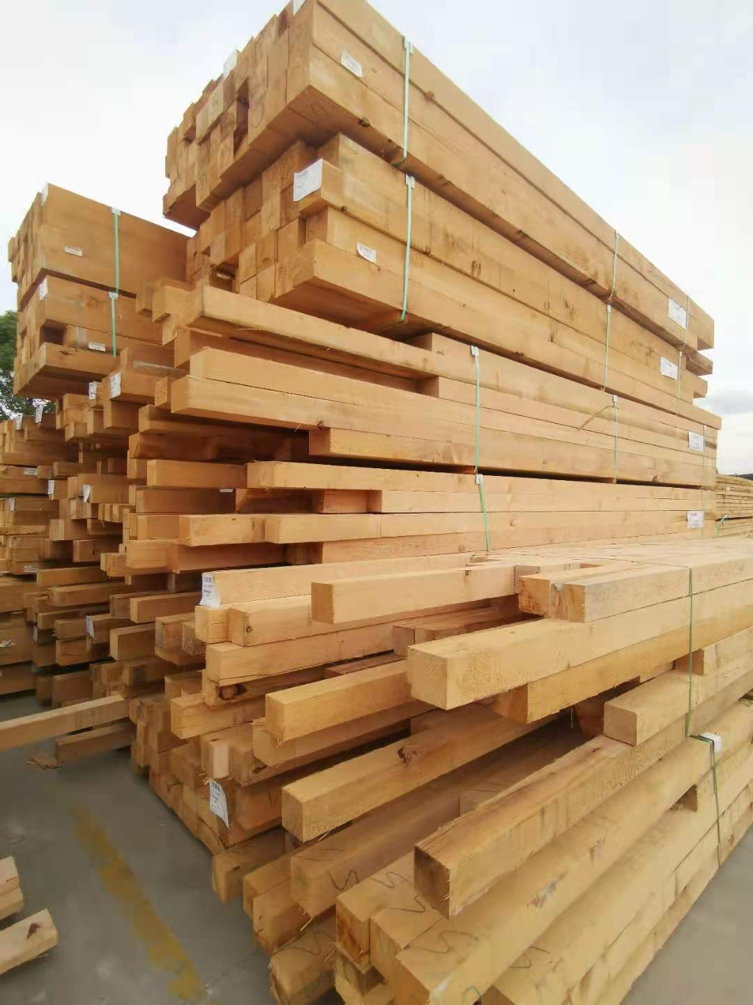 Hemlock Timber